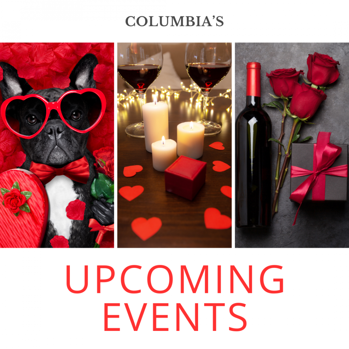 Columbia Metro Events February 9 thru February 15